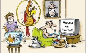 Alerta: la casta política española se siente acosada y contraataca con opio, mentiras y miedo