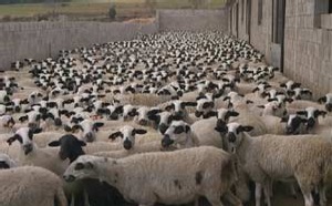 Voto en Blanco descansa en agosto