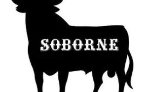 "Podemos" provoca un cambio radical en la política española 