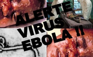 El ébola será una ruina para España y le costará cientos o quizás miles de millones de euros