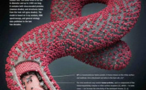 España: cuando el gobierno es mas peligroso que el ébola