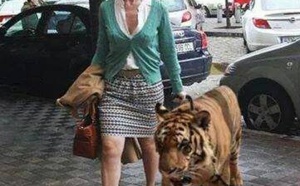 Los demócratas andaluces contra los "gigantes" del PSOE