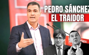 Las grandes traiciones de Pedro Sánchez