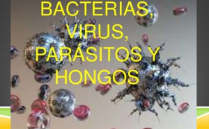 ¿Avanzamos hacia la democracia o solo hemos cambiado pulgas por garrapatas?