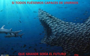 El PP, sin ideología ni valores, se resquebraja