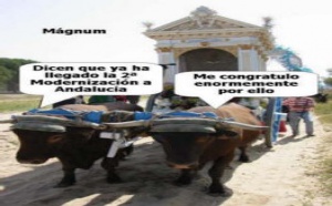 Elecciones 2008: la lamentable agonía del 'Andalucísmo'