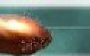 Voto en Blanco: los articulos más leidos de 2007 (Uno)