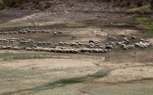 La España insolidaria, desigual y mezquina que nos han construido el PSOE y el PP