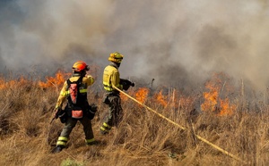 ---Interrumpimos el descanso de agosto para publicar este artículo de rabiosa actualidad---- Los incendios han minado la confianza de los ciudadanos en sus gobernantes