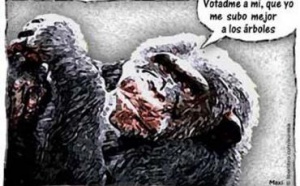 El escándalo de una clase política atiborrada de privilegios