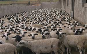 El 'rebaño' del Congreso abuchea a Rosa Díez