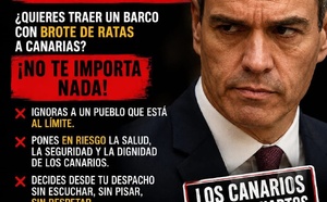 El Hantavirus y Sánchez: dos amenazas silenciosas para la salud
