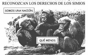 España: política simiesca (reflexión para el fin de semana)