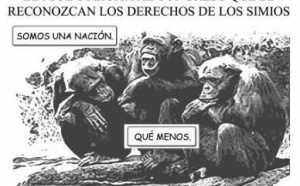 España: política simiesca (reflexión para el fin de semana)