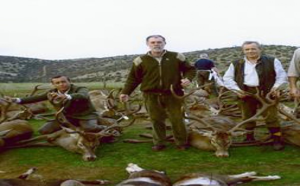 EL LINDO BAMBI Y ALLEGADOS, VÍCTIMAS DE LOS DISPAROS OCIOSOS DE GARZÓN Y BERMEJO