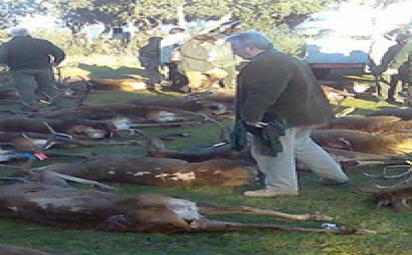 España, cada día más corrupta y tercermundista