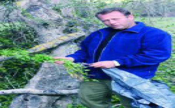 La España desigual: vergüenza ciudadana ante el comportamiento de la clase política