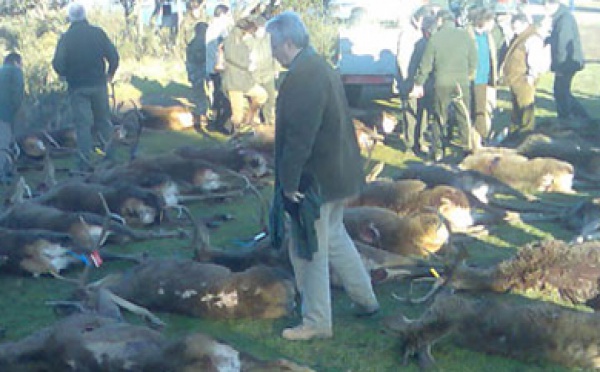 Garzón comienza a ser un serio estorbo para la Justicia