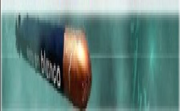 LA INFLUENCIA DE VOTO EN BLANCO