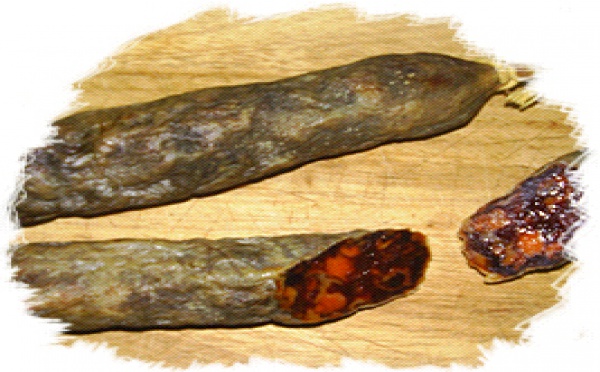 Alternativas y acciones cívicas frente al sistema que nos subyuga