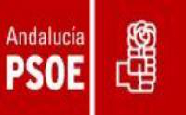 Concejal socialista abandona su partido por haber aprobado la ley del aborto