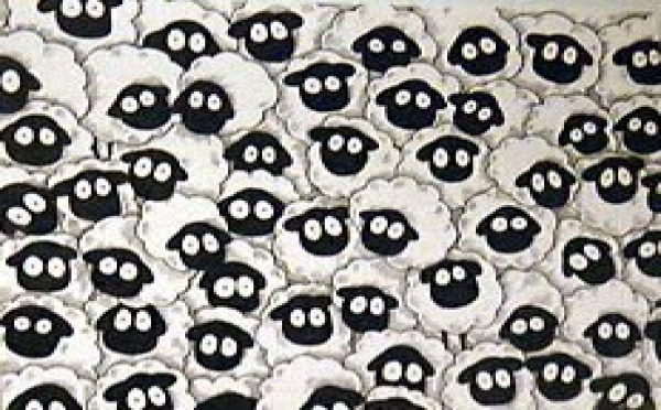 Democracias totalitarias (DS)