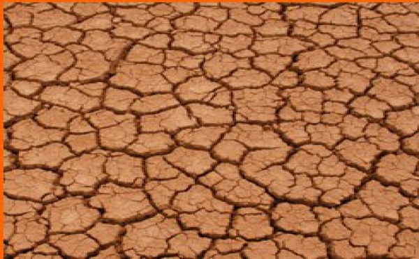 España: la sequía pone en evidencia la imprevisión de los gobiernos