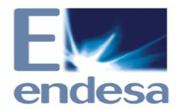 LA OPA A ENDESA, PRIMERA VÍCTIMA DEL ESTATUTO