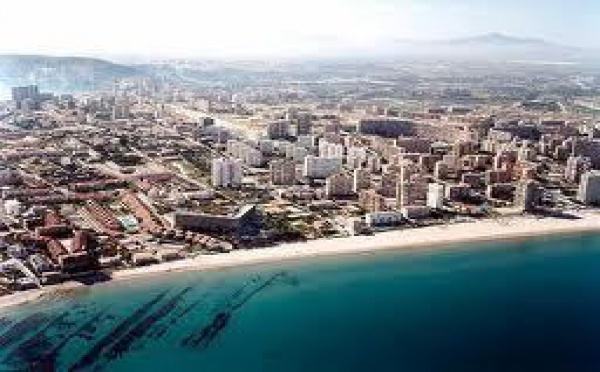 AQUÍ VIVEN LOS DEPREDADORES DE LA CAM