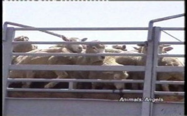 Verdades (inquietantes) como puños: partidos políticos jurásicos