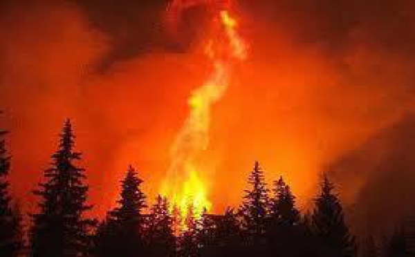 España, un país sin ética, plagado de chorizos y saboteadores