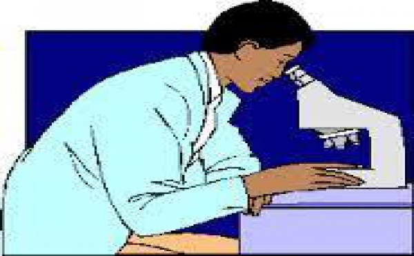 España destruye su investigación