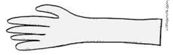 Votar por lo incorrupto (¿Humor o verdad sustancial?)