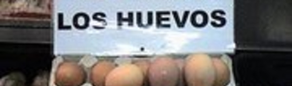 Dia Mundial del Huevo