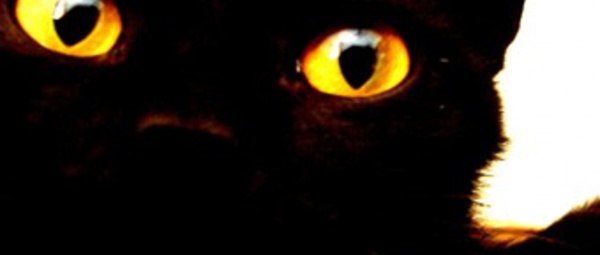 Tened cuidado porque Sánchez "porta iella"