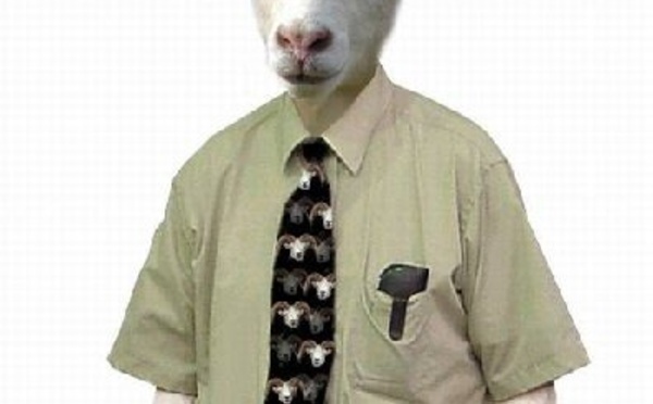 España: pastores y rebaños sin ciudadanos