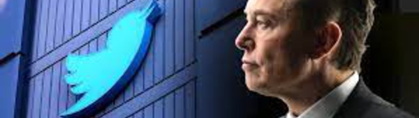 Buenas noticias para la libertad: Elon Musk compra Twitter