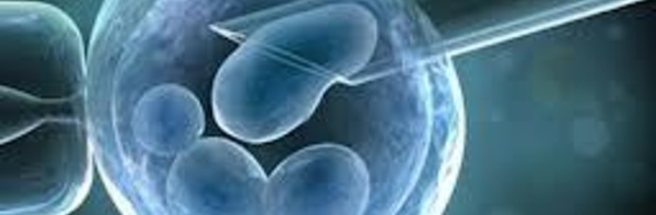 Identificado el gen de la esclavitud política, el que induce a votar siempre al mismo partido 