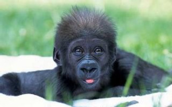 Humor de fin de semana: 'Cosas de vascos'