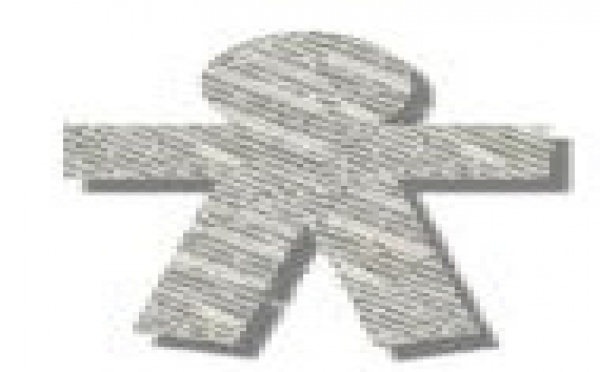 FALACIA SOBRE FALACIA