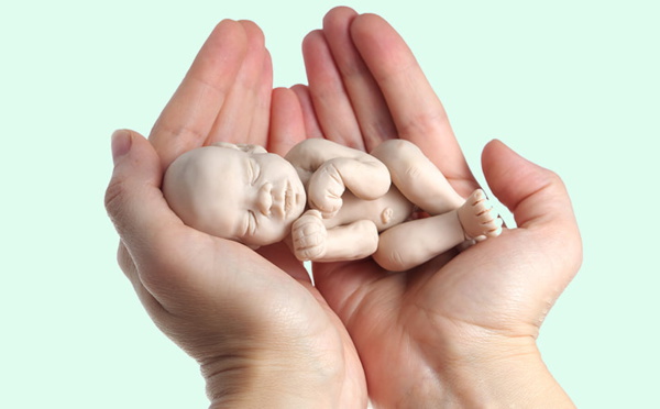 Nos llamarán "asesinos" y "canallas"