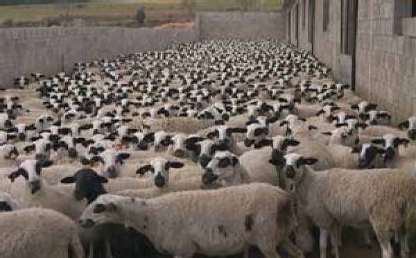 Voto en Blanco descansa en agosto