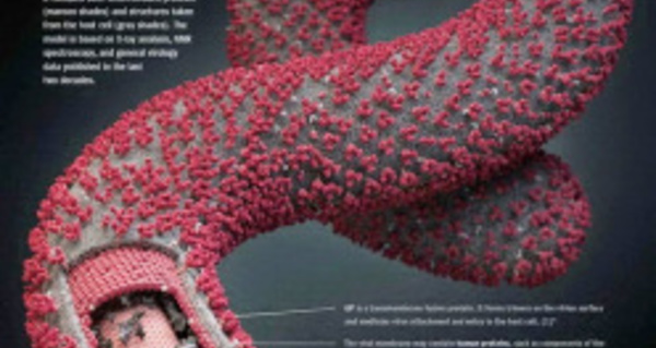 España: cuando el gobierno es mas peligroso que el ébola