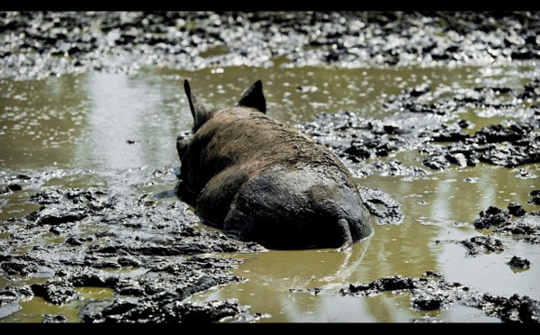 Rodrigo Rato detenido. Parece como si Dios se hubiera marchado de España
