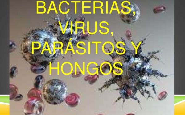 ¿Avanzamos hacia la democracia o solo hemos cambiado pulgas por garrapatas?