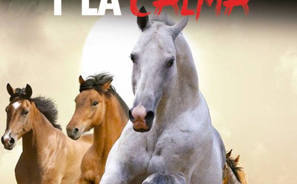 Psicología: Entre la furia y la calma