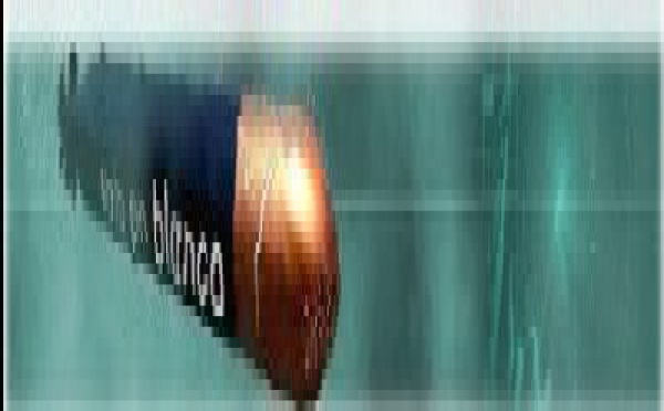 Voto en Blanco: los articulos más leidos de 2007 (Dos y Final)