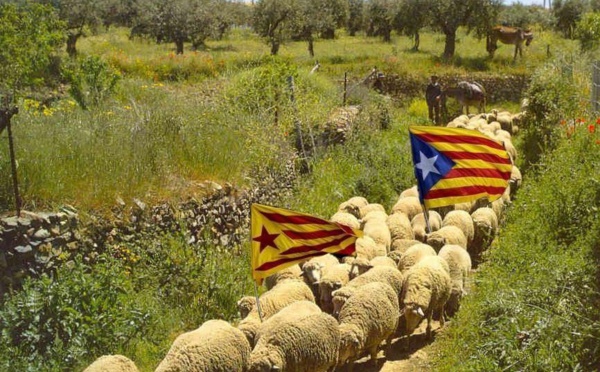 La fascinación del fascismo catalán