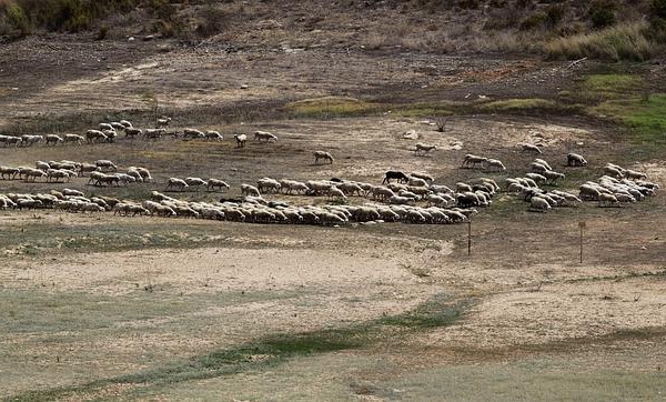 La España insolidaria, desigual y mezquina que nos han construido el PSOE y el PP