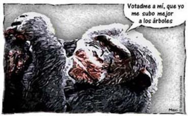 El escándalo de una clase política atiborrada de privilegios